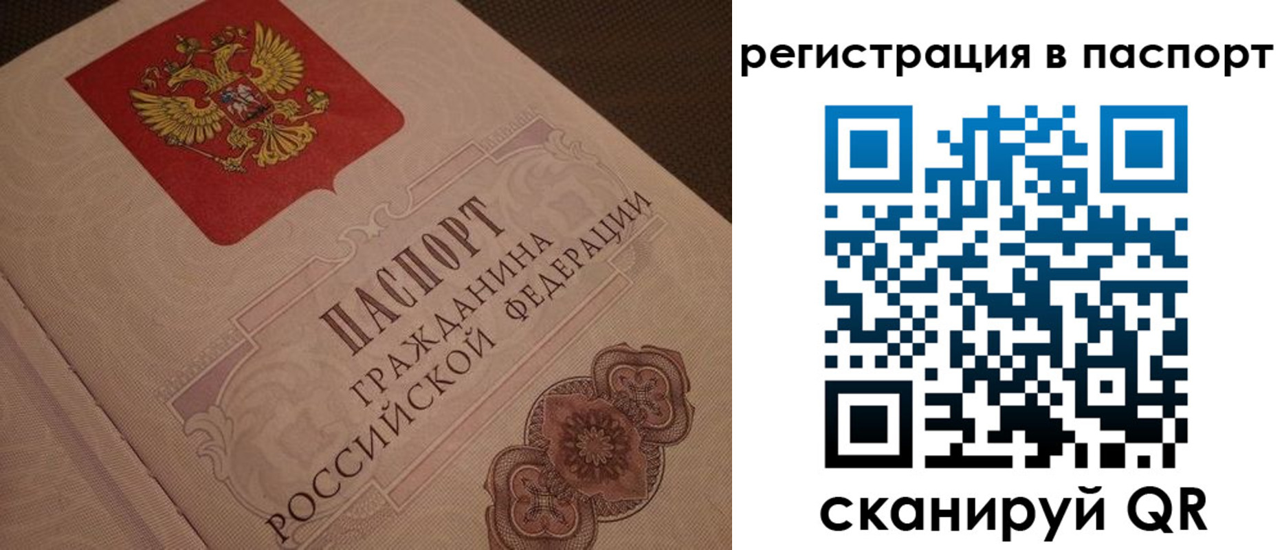 временная регистрация надежно в Реутове